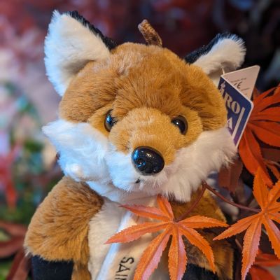 06 Peluches Renard   Sanglier (7)